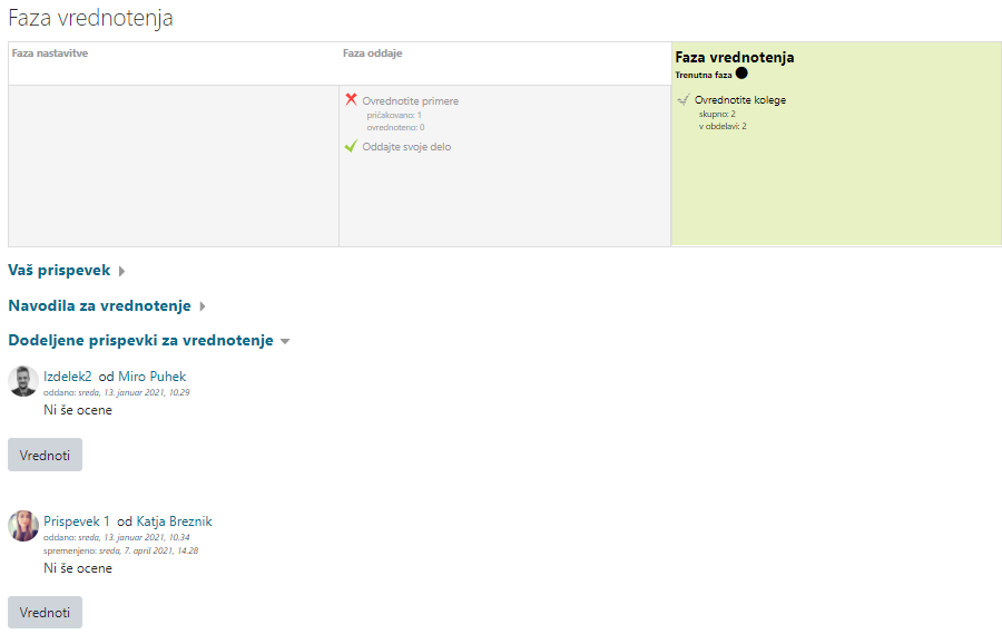 Vrednotenje izdelkov vrstnikov